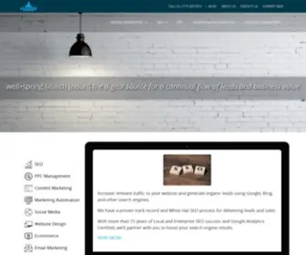 Wellspringsearch.com(Wellspring Digital) Screenshot