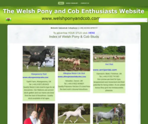 Welshponyandcob.com(Pony) Screenshot