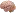 Wendysuzuki.com Favicon