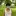Wenquai.com Favicon