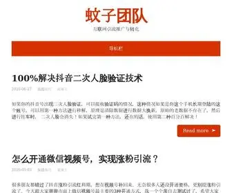 Wenziteam.com(蚊子团队) Screenshot