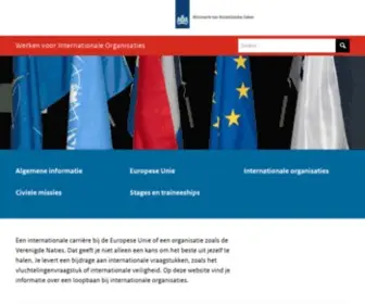 Werkenvoorinternationaleorganisaties.nl(Werken voor Internationale Organisaties) Screenshot