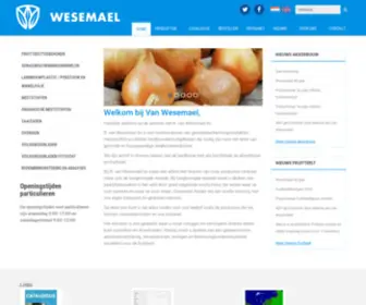 Wesemael.nl(Wesemael) Screenshot