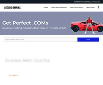 WesleyDomains.com(Best Converting Domains that rake in the sales Fast) Screenshot