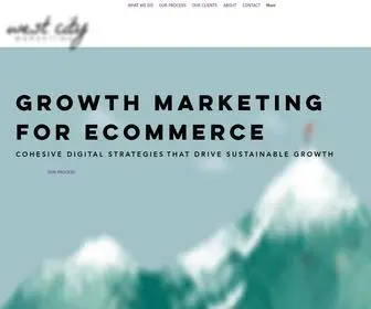 Westcitymarketing.com(Denver Digital Marketing Consultant) Screenshot