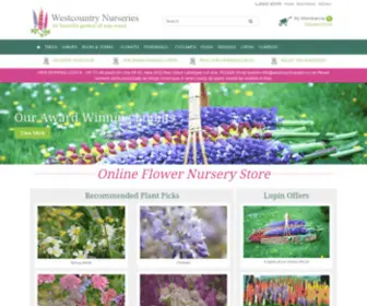 Westcountrylupins.co.uk(Lupins I dierama) Screenshot