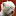 Westieparadies.de Favicon