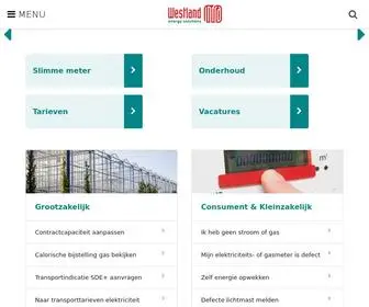 Westlandinfra.nl(Westland Infra) Screenshot
