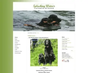 Wewaii.eu(Splashing Water's Flatcoated Retriever) Screenshot