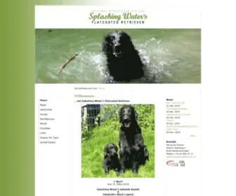 Wewaii.fr(Splashing Water's Flatcoated Retriever) Screenshot