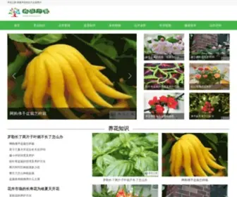 WFSKY.com(花花下载) Screenshot