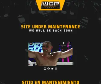 WGpkickboxing.com.br(Início) Screenshot