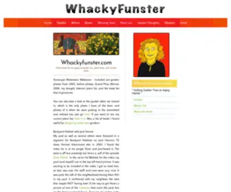 Whackyfunster.com(Whackyfunster) Screenshot