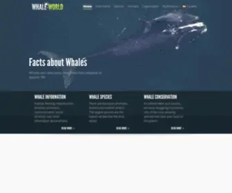 Whale-World.com(Whale Facts and Information) Screenshot