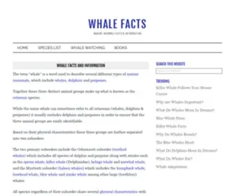 Whalefacts.org(This site) Screenshot