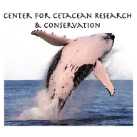 Whaleresearch.org Favicon