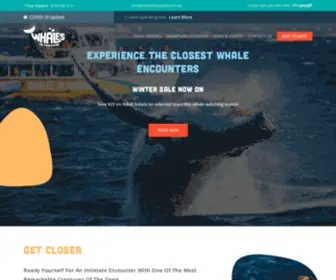 Whalesinparadise.com.au(Whale Watching Gold Coast) Screenshot