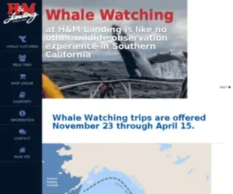 Whalewatchingathmlanding.com(Whale Watching) Screenshot