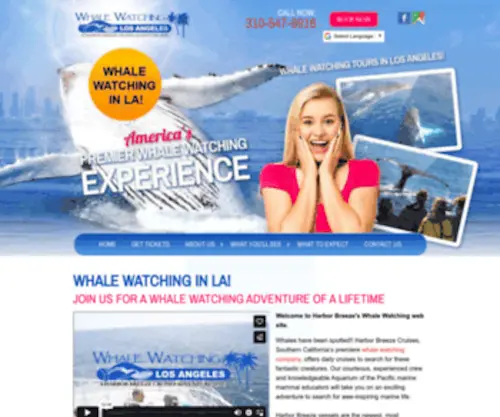 Whalewatchinginla.com(Whale Watching in LA) Screenshot