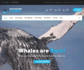 Whalewatchingsydney.com.au(Whale Watching Sydney) Screenshot