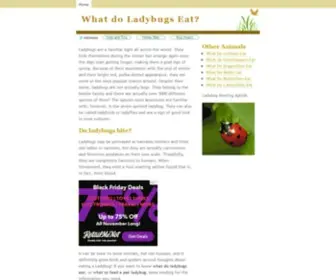 Whatdoladybugseat.info(What do Ladybugs Eat) Screenshot