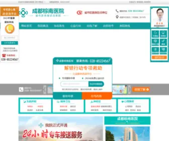 Whatpanic.com(成都棕南医院) Screenshot