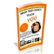 Whattheydidntteach.com Favicon
