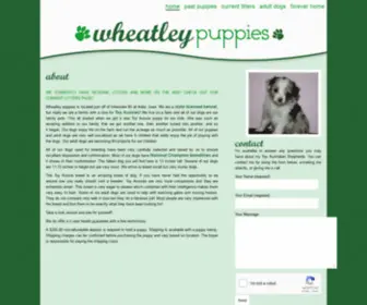 Wheatleypuppies.com(Wheatleypuppies) Screenshot