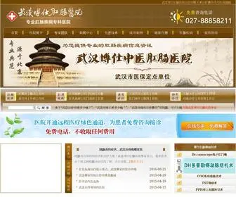 WHGCYY.com(武汉博仕中医肛肠医院) Screenshot