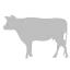 Whippoorwillfarmct.com Favicon