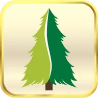 Whisperingpines.com.pk Favicon