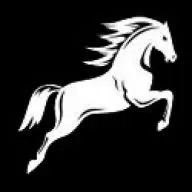 Whitehorsecapital.co.uk Favicon