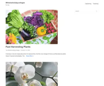 Whiteleeholidaycottages.com(whiteleeholidaycottages) Screenshot