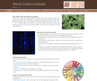 Whitelupin.fr(White Lupin Genome) Screenshot