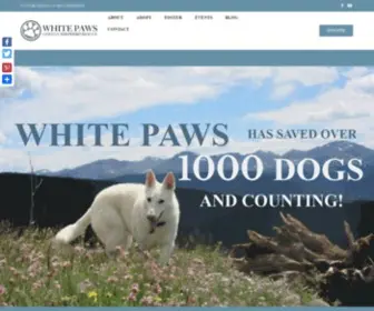 Whitepawsgsr.com(White Paws German Shepherd Rescue) Screenshot