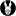 Whiterabbitwaterloo.com Favicon