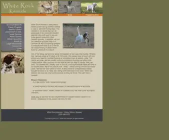 Whiterockllewellins.com(Llewellin Setter Breeders) Screenshot