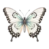 Whittierlifecenter.org Favicon