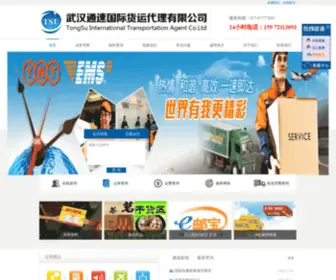 WHtsu.com(武汉通速国际快递) Screenshot