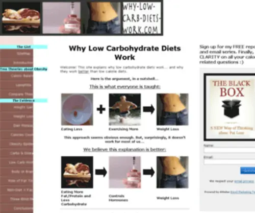 WHY-Low-Carb-Diets-Work.com(WHY Low Carb Diets Work) Screenshot
