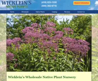 Wickleinaquatics.com(Wholesale Aquatic Plant Grower and Nursery for Aquatic Pond Plants) Screenshot