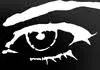 Wideeyedstudios.com Favicon