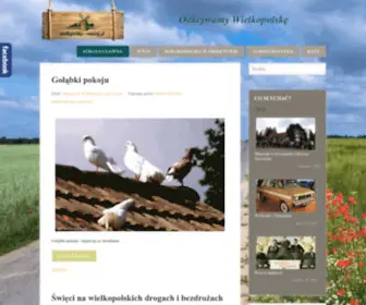 Wielkopolska-Country.pl(Portal przedstawia piękno nadwarciańskiego regionu) Screenshot