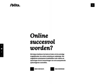 WijZijnblits.nl(Reclamebureau Blits) Screenshot