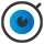 Wiki-Vision.com Favicon