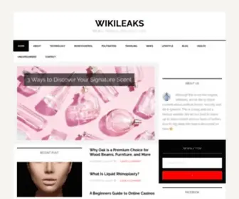 Wikileaks.info(News, World, Politics, Life) Screenshot