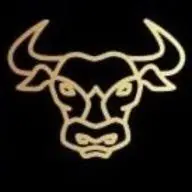 Wild-Bulls.de Favicon