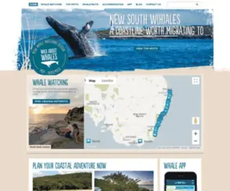 Wildaboutwhales.com.au(Wild About Whales) Screenshot