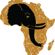 Wildafricanventures.com Favicon