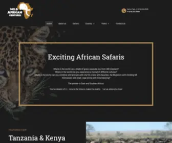 Wildafricanventures.com(モビット審査と借入の手引き※WEB完結が便利) Screenshot